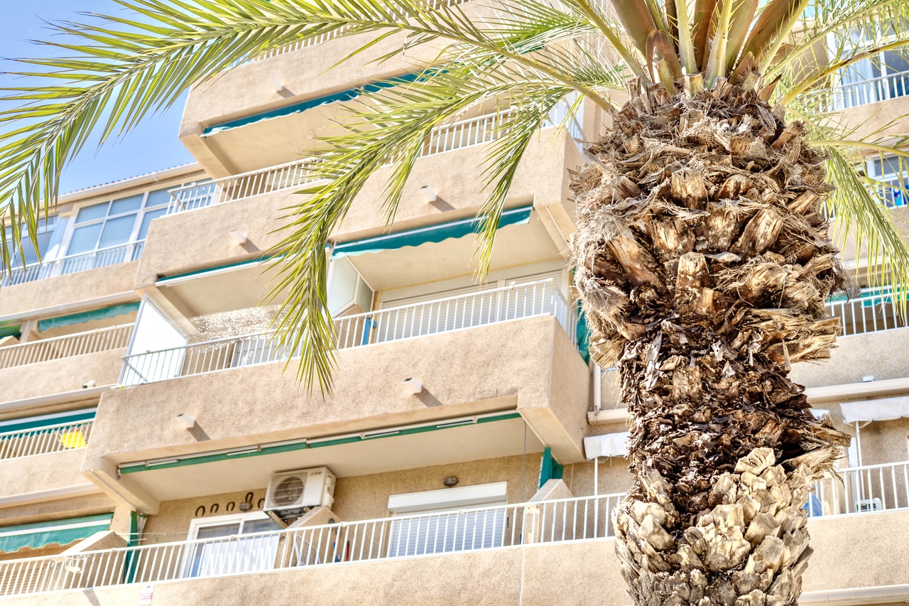 1 Bed, 1 Bath, ApartmentFor Sale, Guardamar Del Segura, Alicante