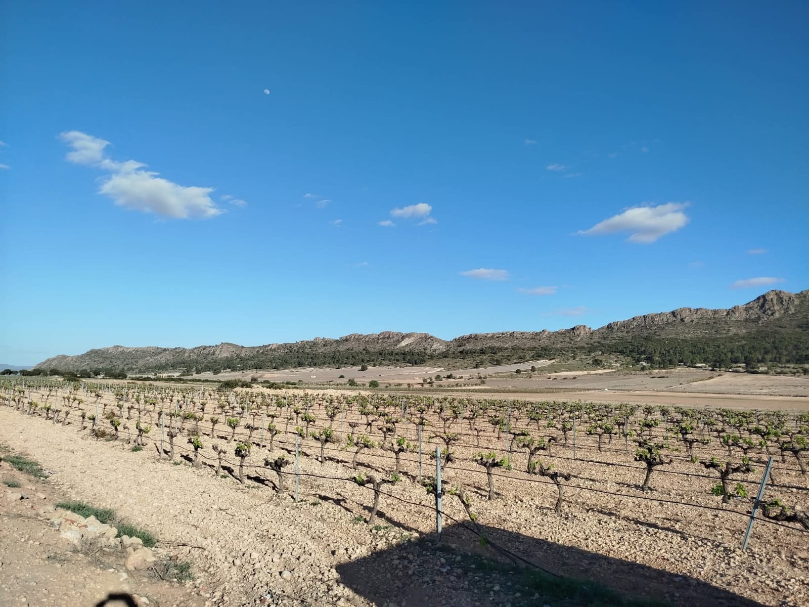 3 Bed, 1 Bath, HouseFor Sale, Yecla, Murcia