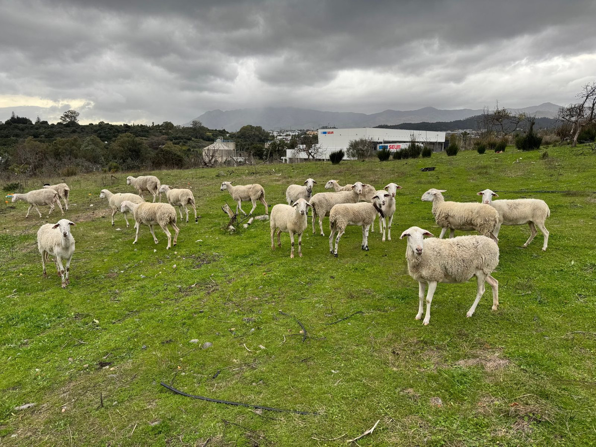 4 Bed, 1 Bath, HouseFor Sale, Cancelada, Malaga