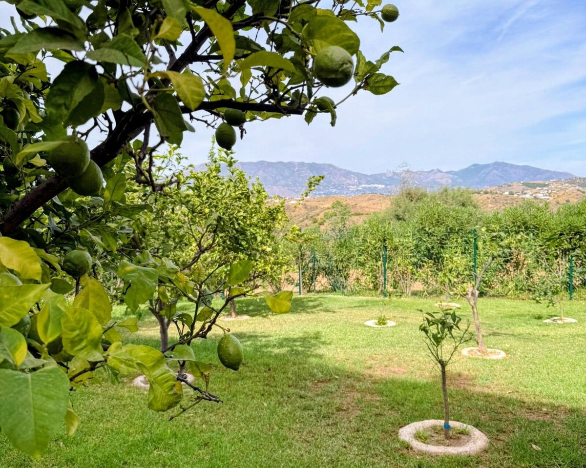 2 Bed, 2 Bath, ApartmentFor Sale, La Cala de Mijas, Malaga