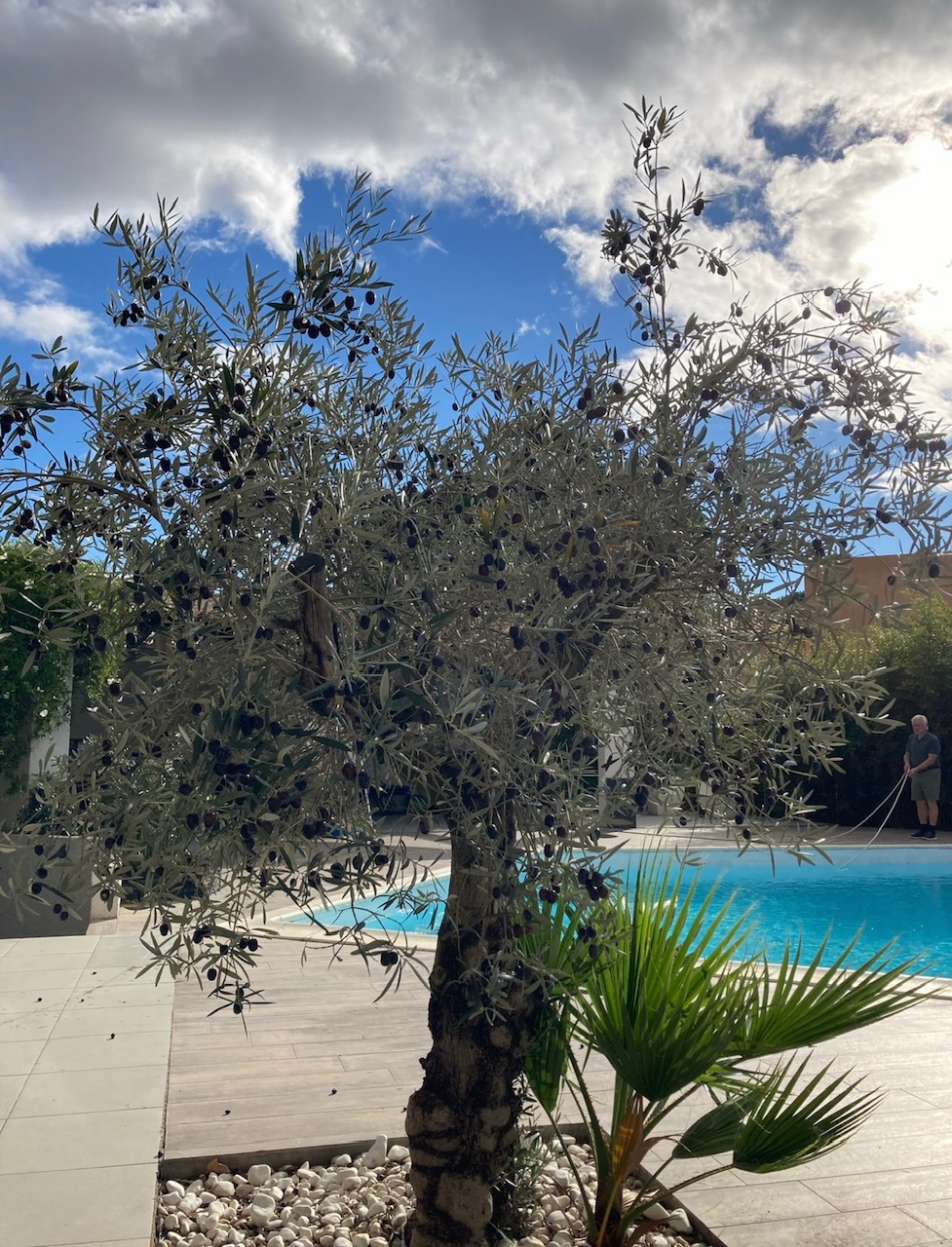 5 Bed, 3 Bath, HouseFor Sale, Beziers, Herault, Languedoc-Roussillon, 34500