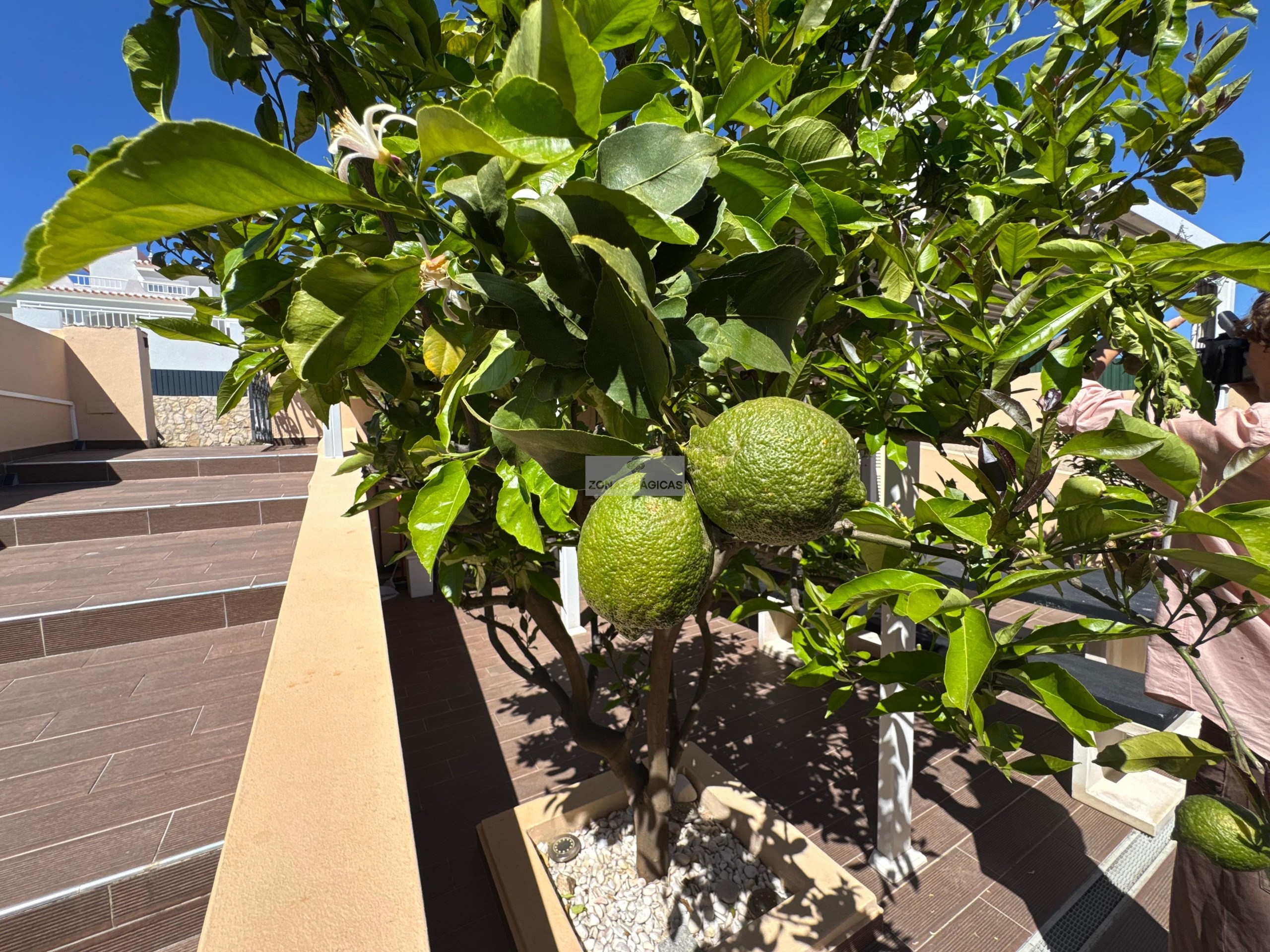 4 Bed, 4 Bath, HouseFor Sale, Lagos, Faro, 8600-739