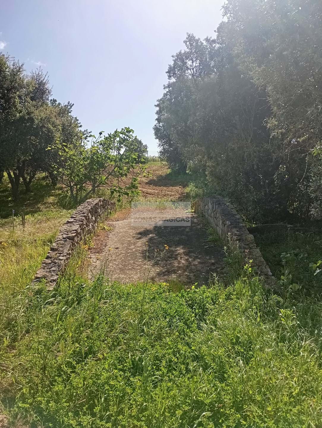 1 Bed, 1 Bath, HouseFor Sale, Lagos, Faro, 8600-306