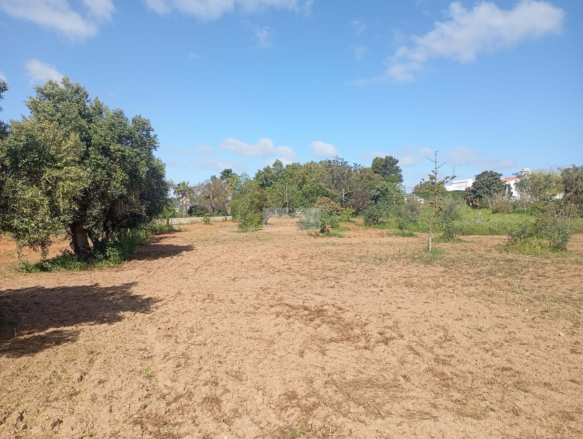 1 Bed, 1 Bath, HouseFor Sale, Lagos, Faro, 8600-306