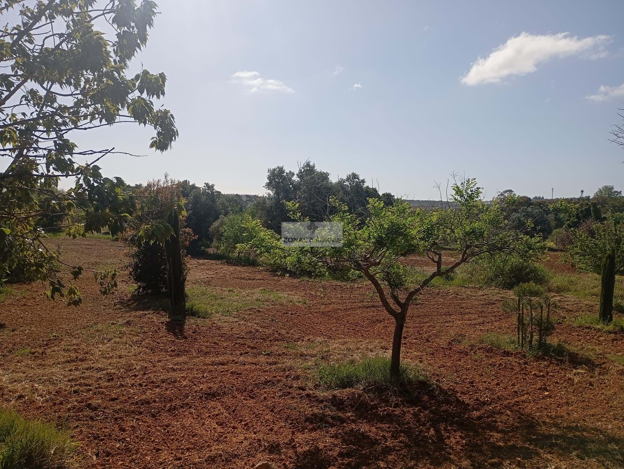 1 Bed, 1 Bath, HouseFor Sale, Lagos, Faro, 8600-306