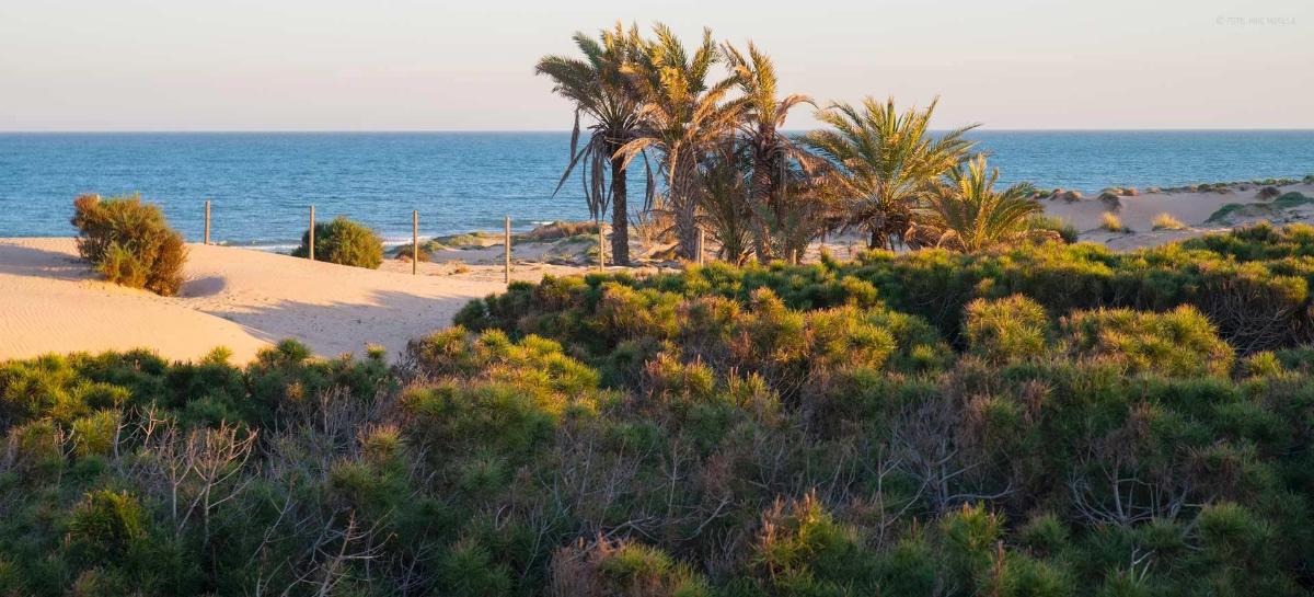 2 Bed, 2 Bath, ApartmentFor Sale, Guardamar Del Segura, Costa Blanca