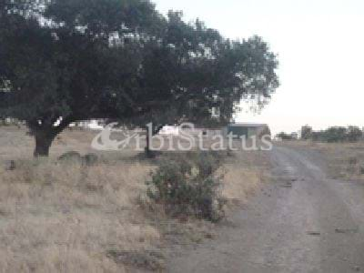 Land, For Sale