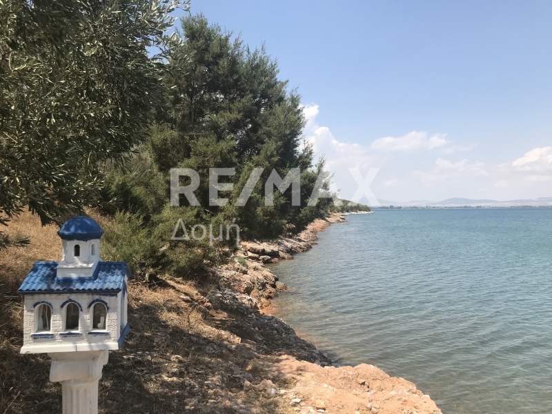 HouseFor Sale, Amaliapoli, Sourpi, Magnesia