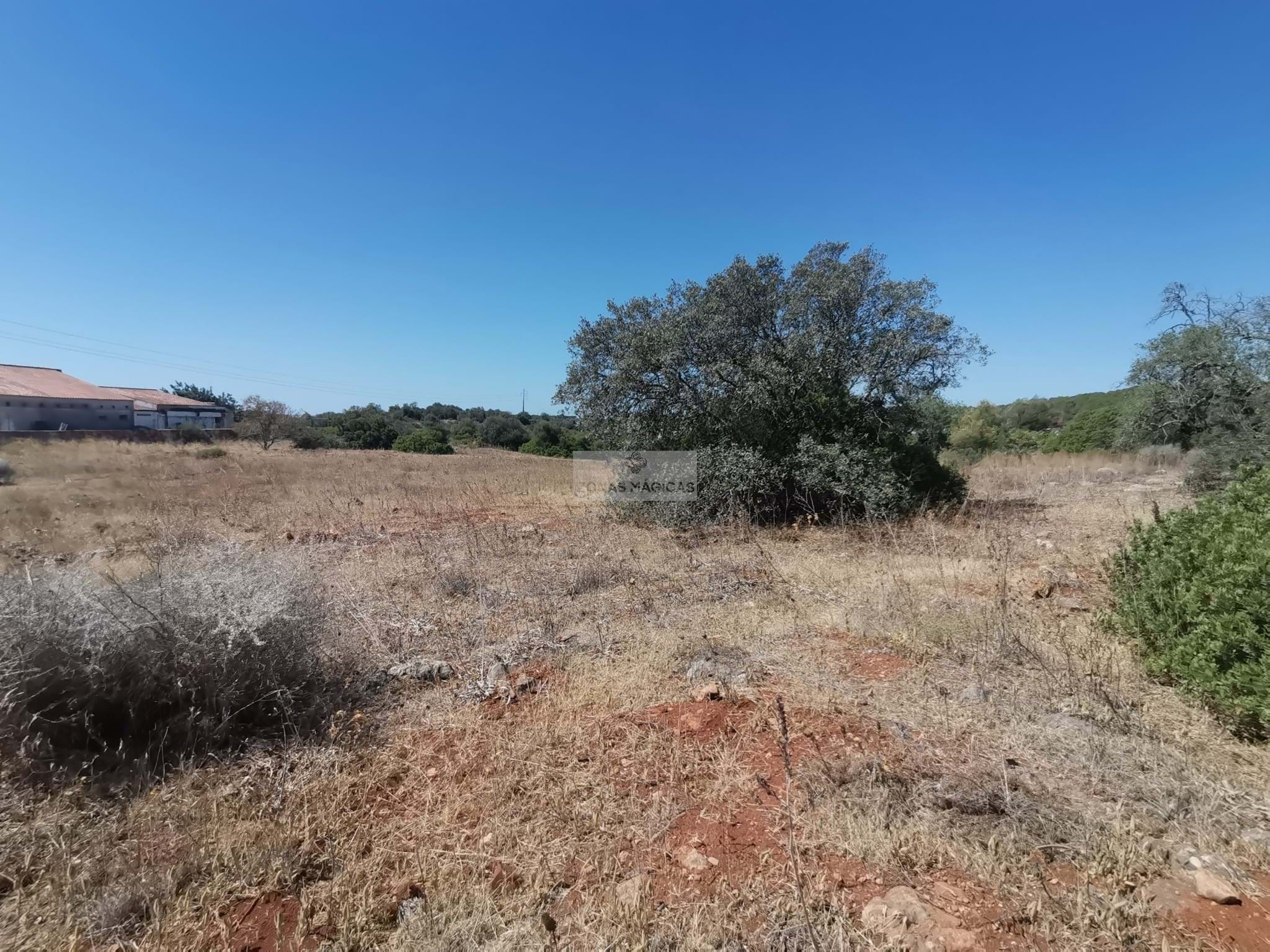 Land, For Sale